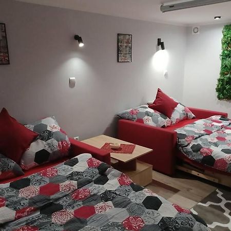 Studio Familly-Nocleg-Zator- Wadowice-Oswiecim-Krakow Bachowice Ngoại thất bức ảnh