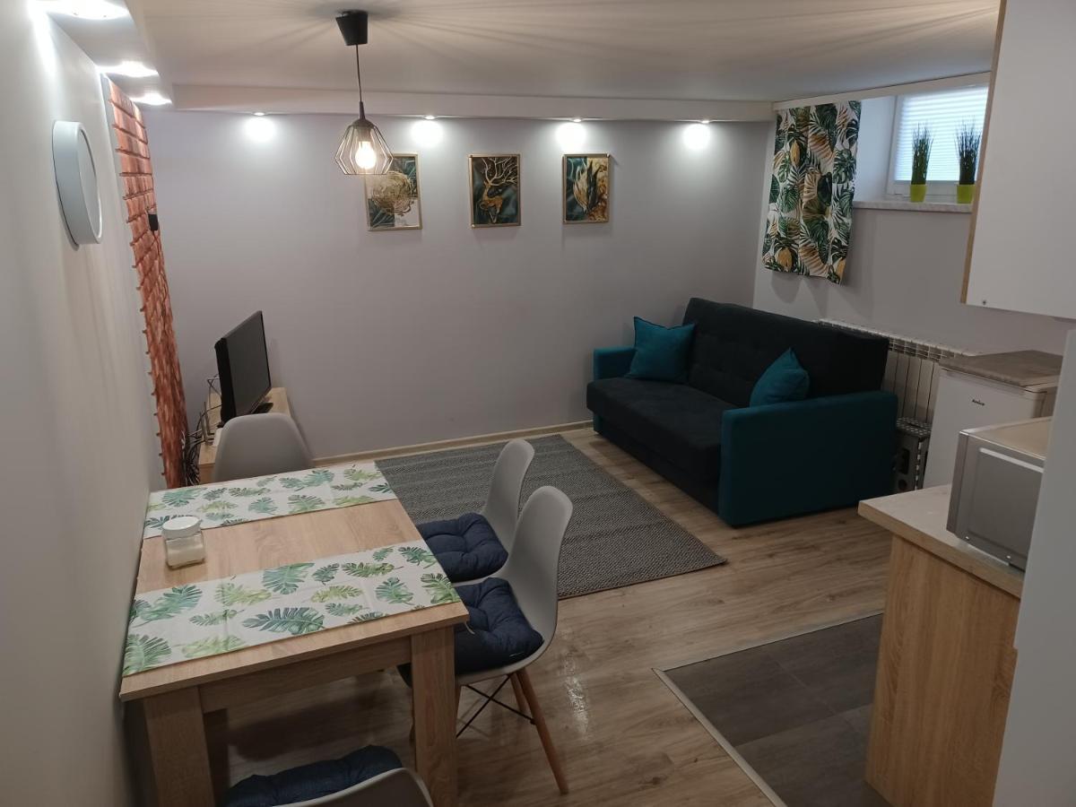 Studio Familly-Nocleg-Zator- Wadowice-Oswiecim-Krakow Bachowice Ngoại thất bức ảnh