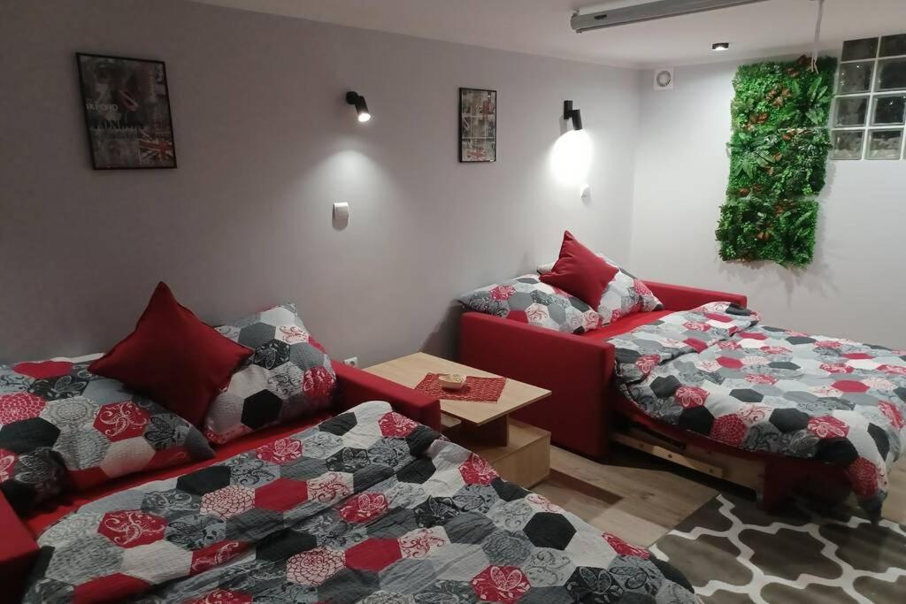 Studio Familly-Nocleg-Zator- Wadowice-Oswiecim-Krakow Bachowice Ngoại thất bức ảnh